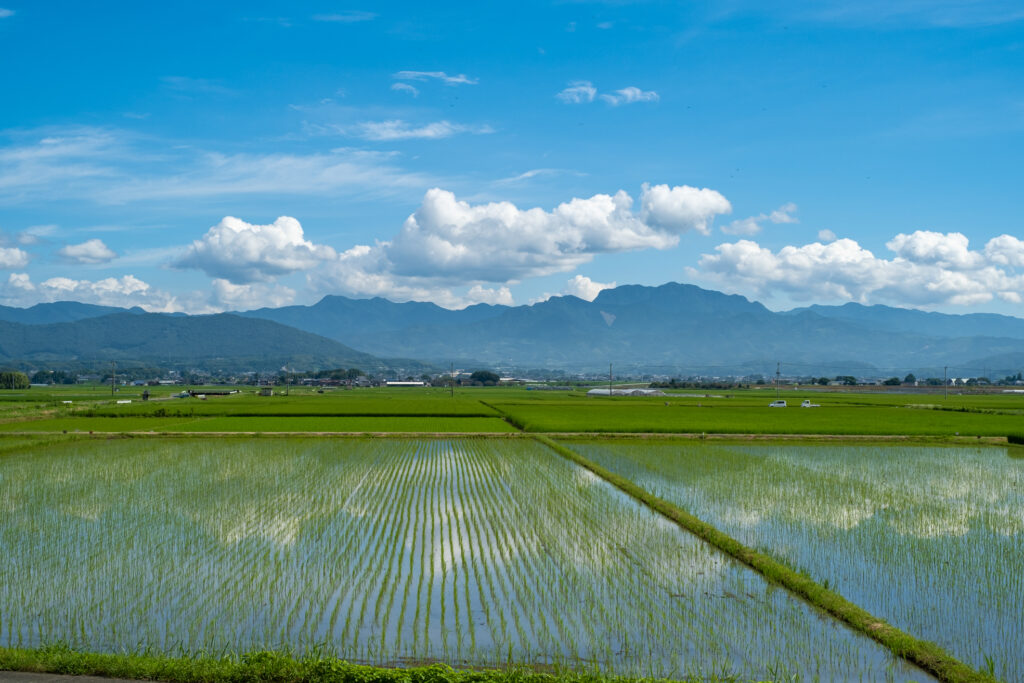 田園風景
