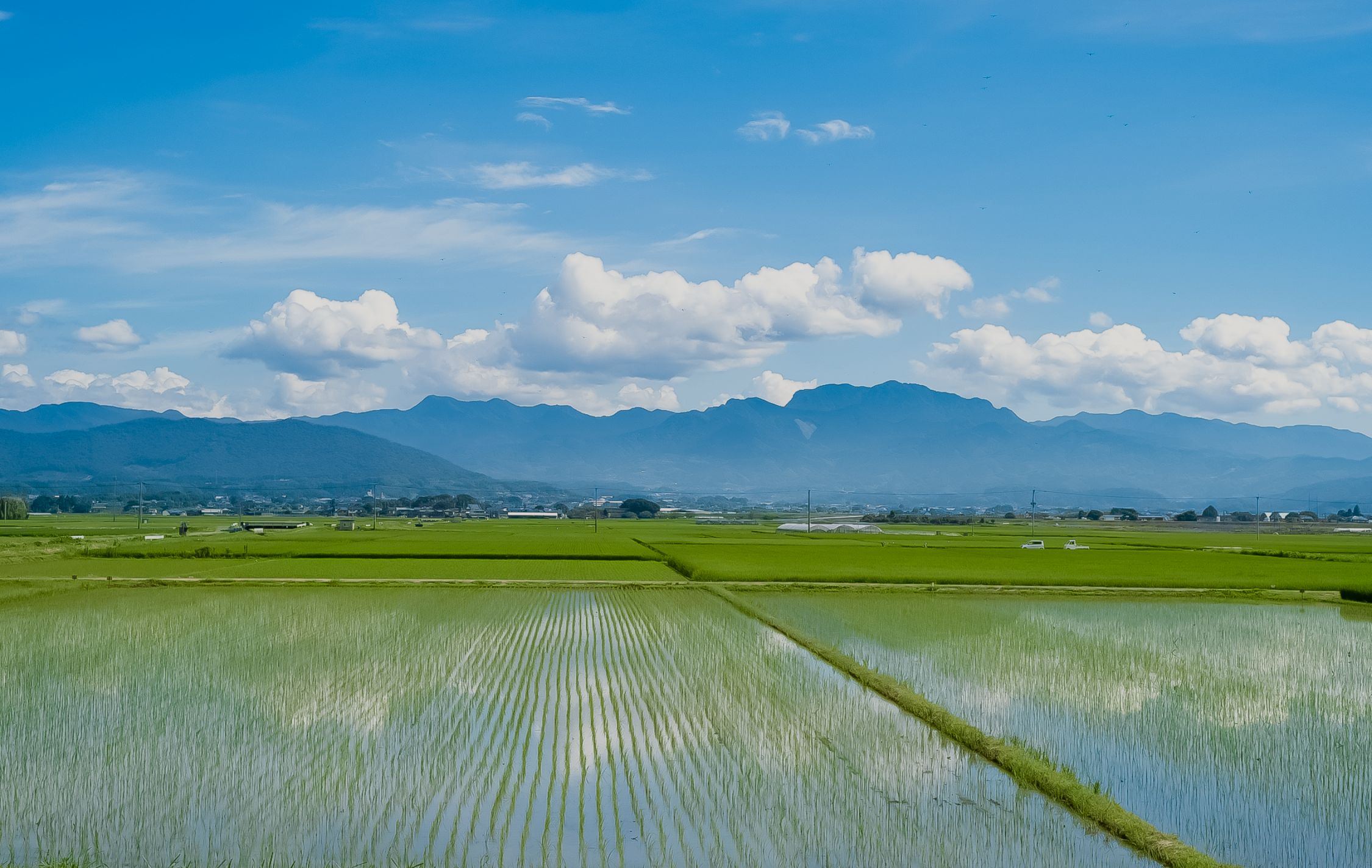 地域とともに